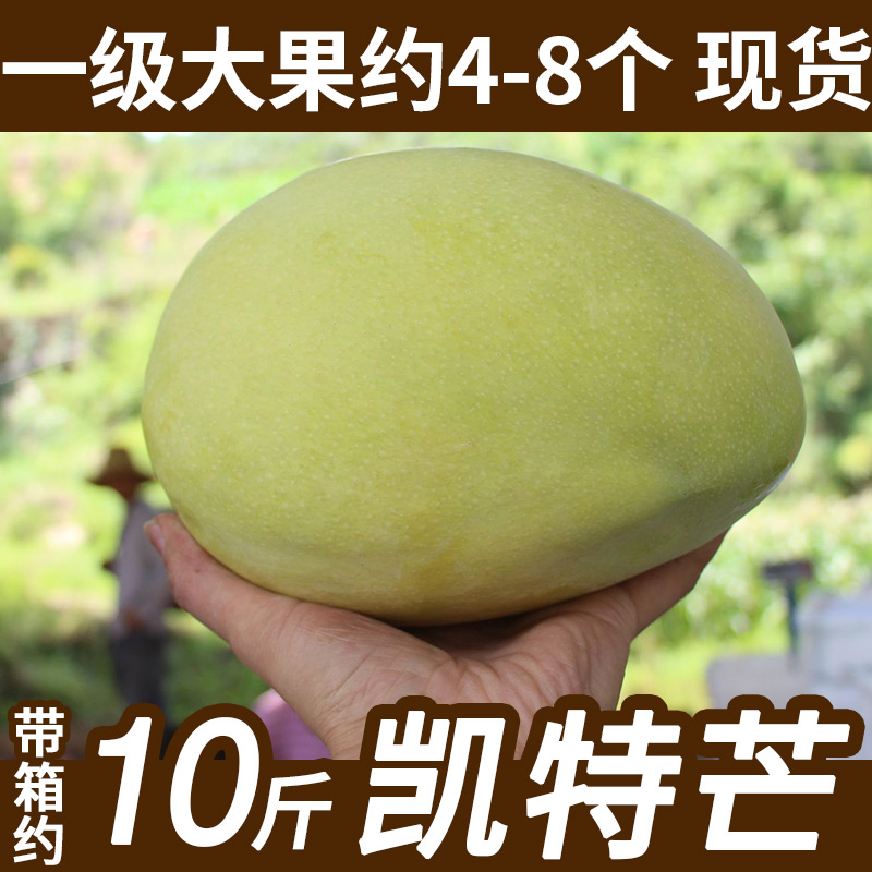 现货整箱约10斤大芒果四川攀枝花凯特芒果大青芒新鲜水果黄皮芒果