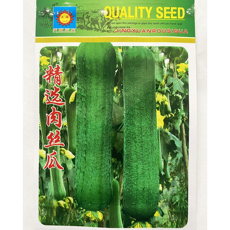 精选早熟肉丝瓜种子籽绿色瓜条直肉质柔软多汁产量高
