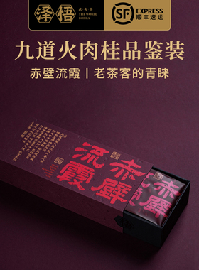 泽悟武夷茶赤壁流霞九道火肉桂武夷岩茶正宗乌龙茶分享体验装25g