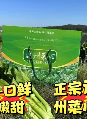 顺丰冷链连州菜心连州迟菜心现摘现发多地包邮到家