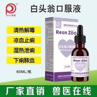 兽药宠物用白头翁口服液家禽猪牛羊猫狗清热解毒腹泻止痢制剂