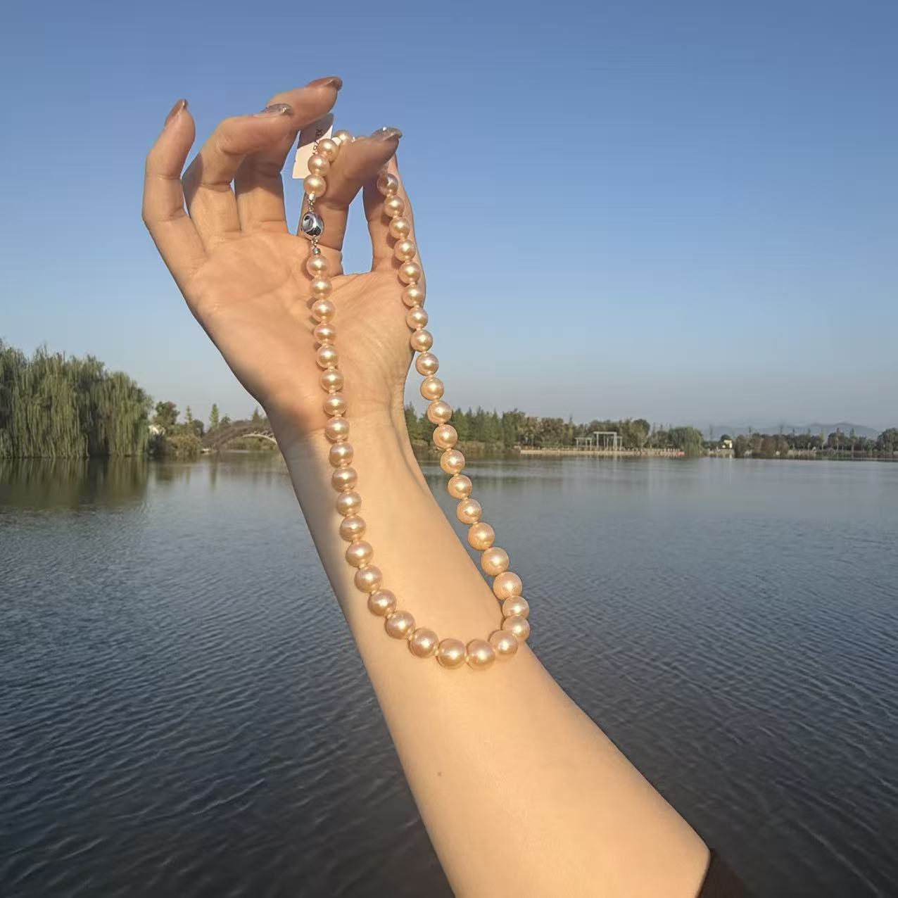 s925银 8-11mm珍珠项链 XL2899