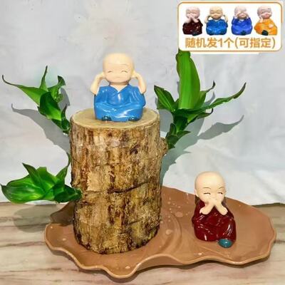 巴西木水养幸运木开花格鲁特树人好养绿植室内水培懒人花植物盆栽