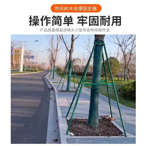 园林绿化固定器撑杆护树金属大杆钢管树木支撑架多规格固定架套装