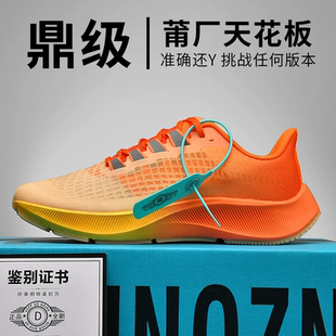 超级飞马37代桔红渐变39正品莆田减震40气垫zoom登月38白彩虹跑步