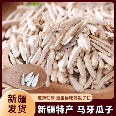 新疆马牙瓜子大颗粒颗颗饱满健康