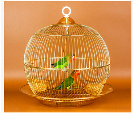 Myna cage cage Large Thrush Cockatiel Peony parrot cage circular Metal breed full setin the Pet/Pet food and supplies , Birds and supplies , Birdcage  category - from Buy2taobao.com to provide professional Taobao agent buy service