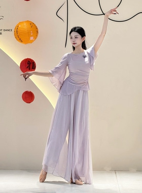 古典舞服装大码新款蝴蝶舞蹈服成人上衣飘逸练功服中国舞纱衣