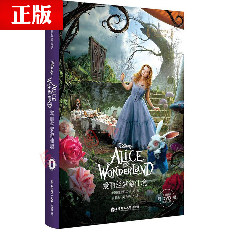 ¸½ÔùDVD¹âÅÌ