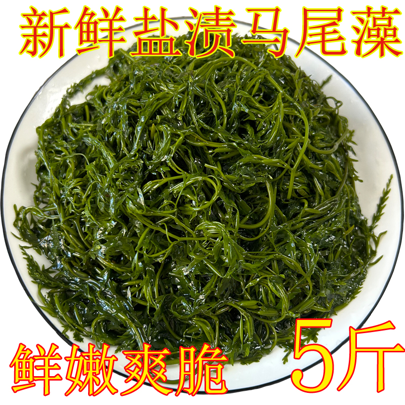 鞭炮笋新鲜海藻火锅凉拌羊栖菜菜火炮菜长寿菜荣成盐渍马尾藻 5斤 水产肉类/新鲜蔬果/熟食 海带 原图主图