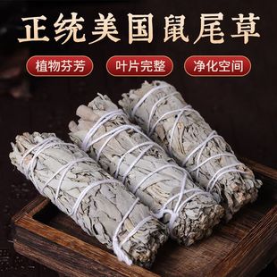 白鼠尾草净化水晶消磁场空气香薰香料室内干叶子植物diy香薰材料