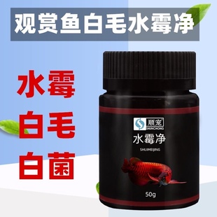 水霉净水霉白毛鱼缸鱼白霉水霉病水莓清白毛病水霉病长毛白点