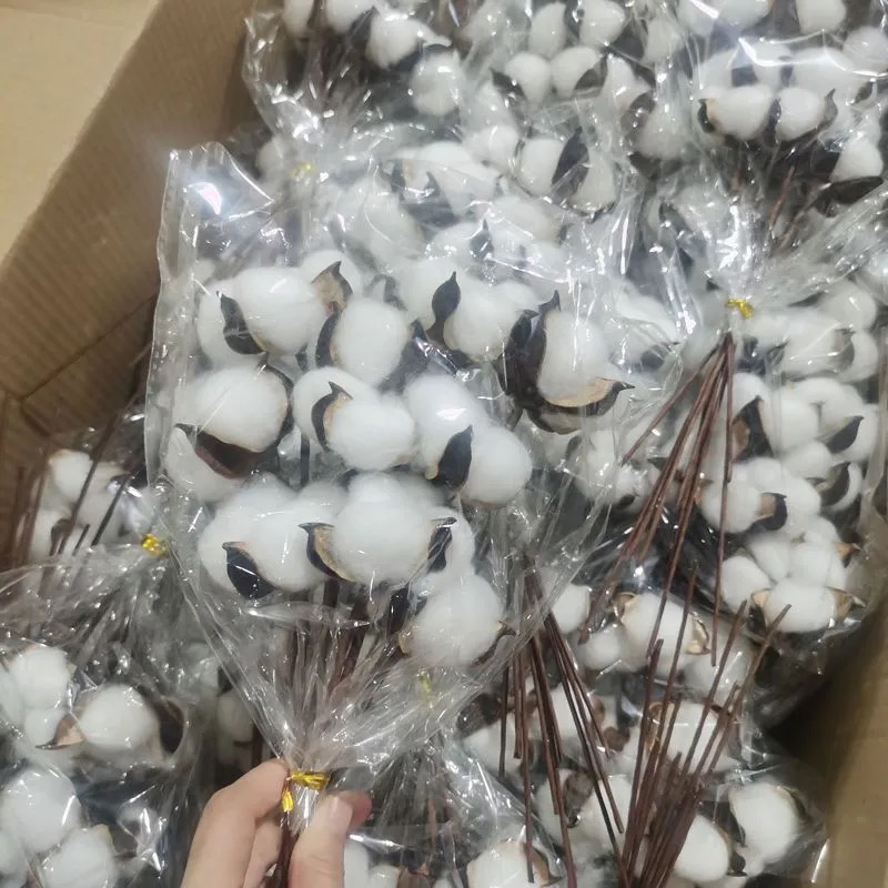 天然棉花干花木棉花带壳带杆圣诞节花束装饰配件花店包花diy材料