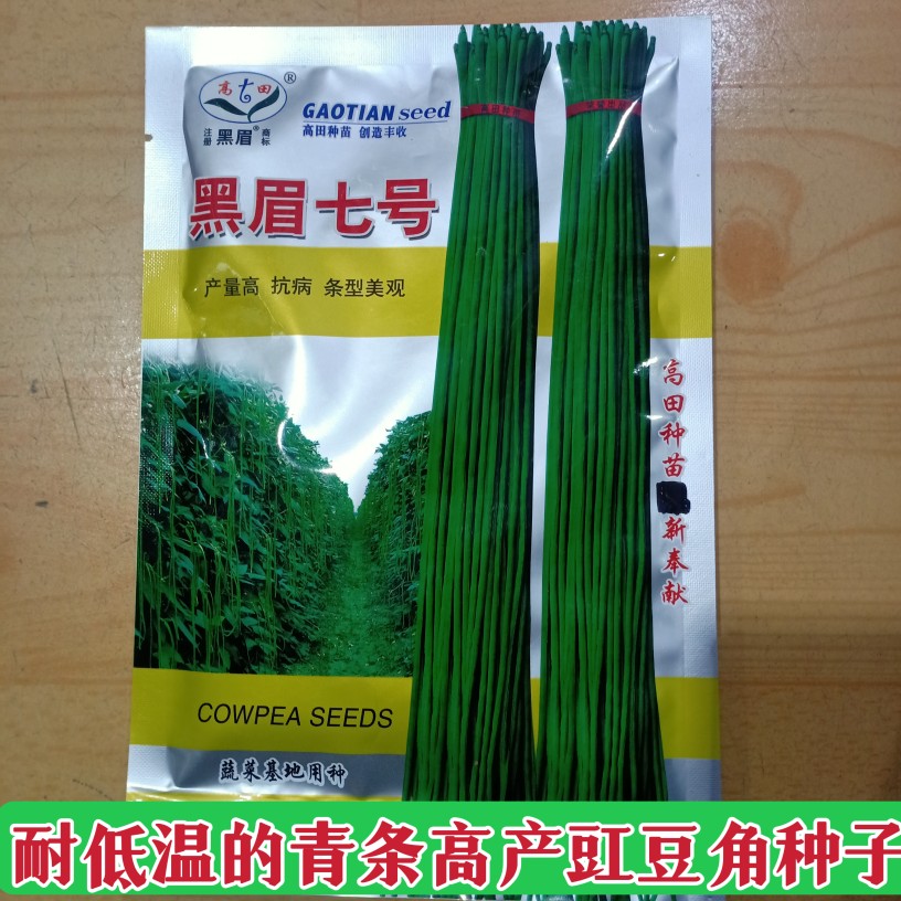 豇豆角种子黑眉七号 耐低温高产绿条早春露地保护地蔬菜150克