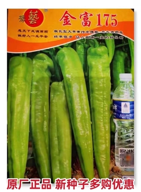 豫艺种业金富175大牛角辣椒种子黄绿色春季秋季蔬菜1000