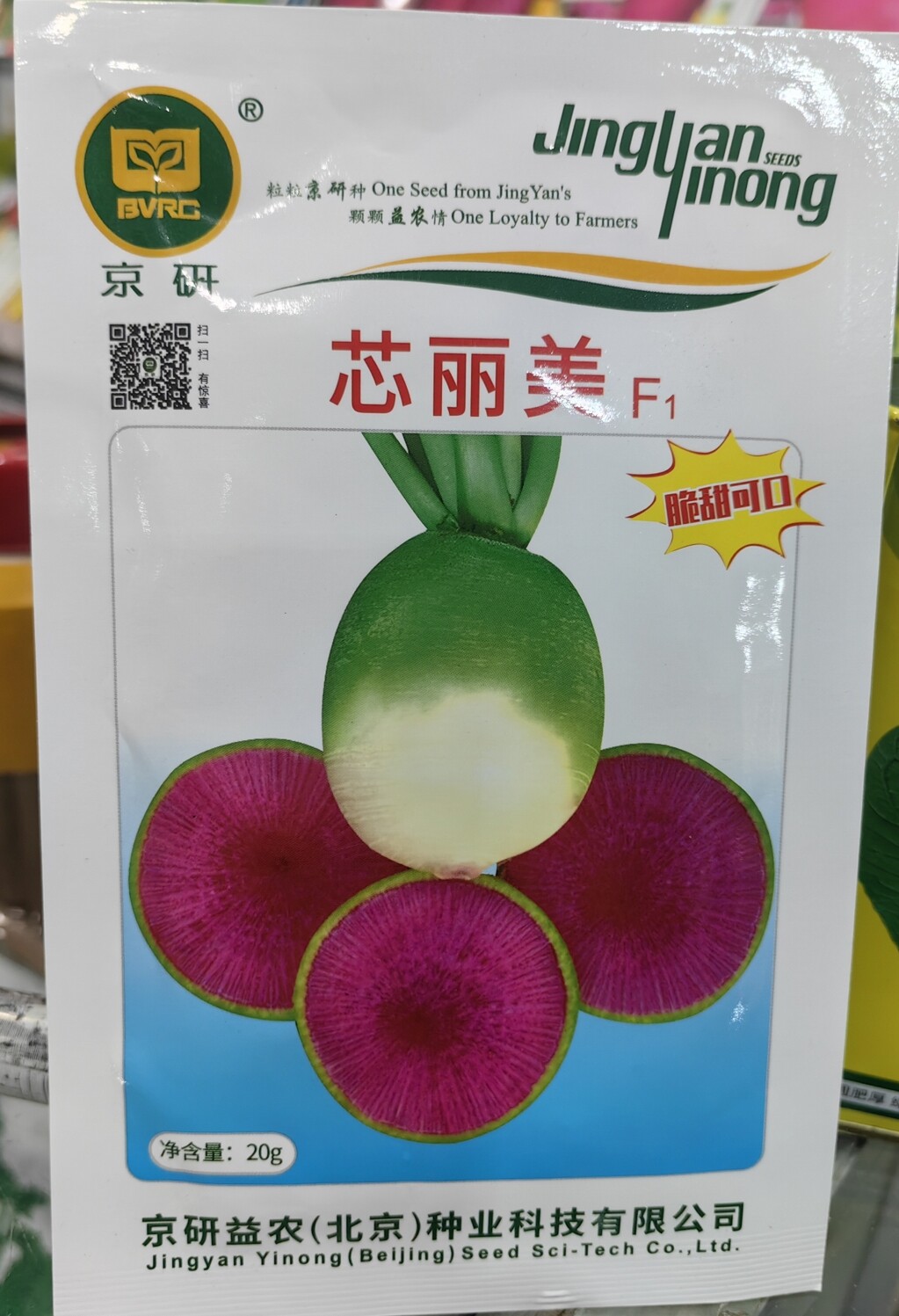 满堂红萝卜蔬菜种子甜脆秋季