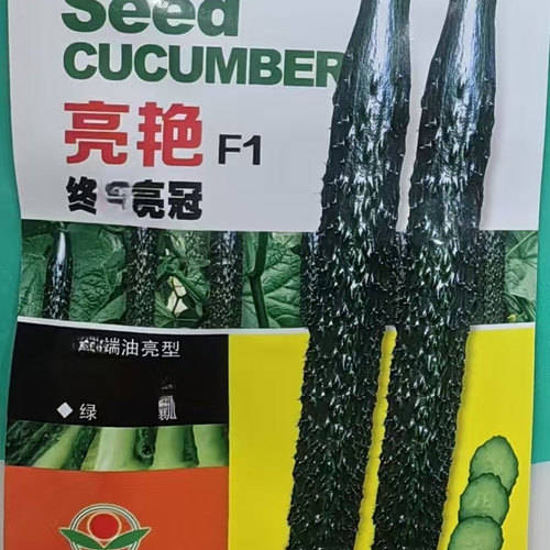 水黄瓜种子露地绿瓤鲁蔬春季秋季