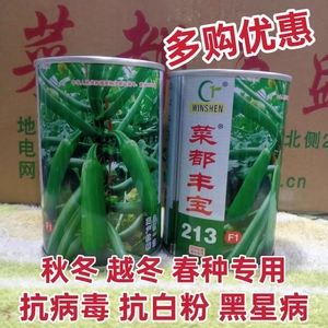 万盛菜都丰宝213葫芦籽耐寒油绿