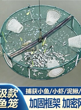 新款鱼笼白色捕虾笼圆形折叠鱼网加粗自动黄鳝笼龙虾螃蟹泥鳅渔网