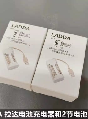 宜家拉达充电器和2节充电电池