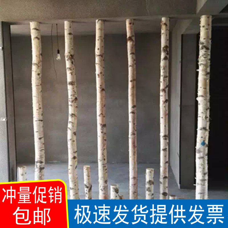 白桦树装饰树段树桩树枝橱窗隔断