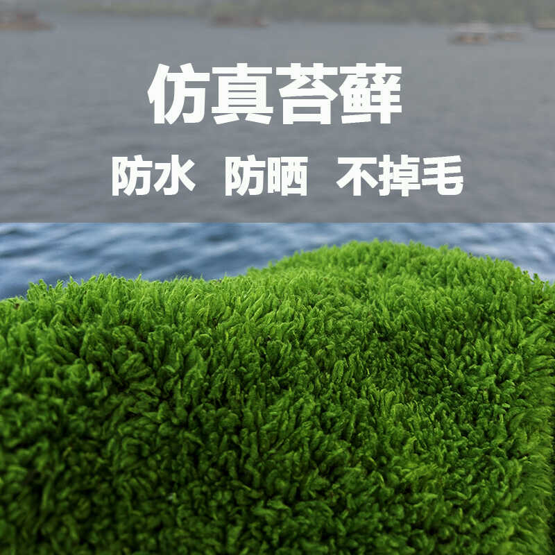 仿真苔藓地毯草仿真草皮图片