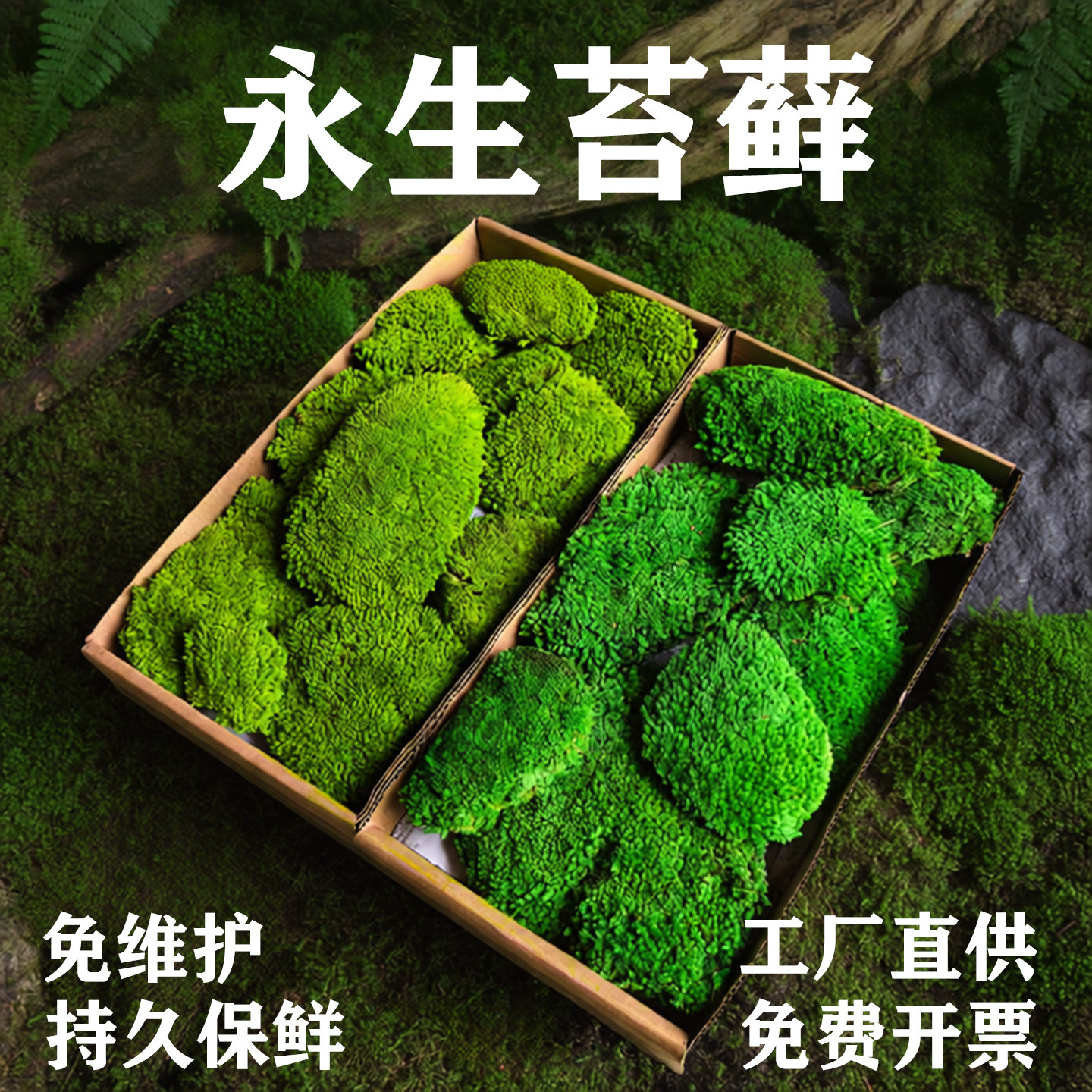 永生苔藓植物墙白发藓青苔草皮造景大灰室内枯山水干花仿真假苔藓