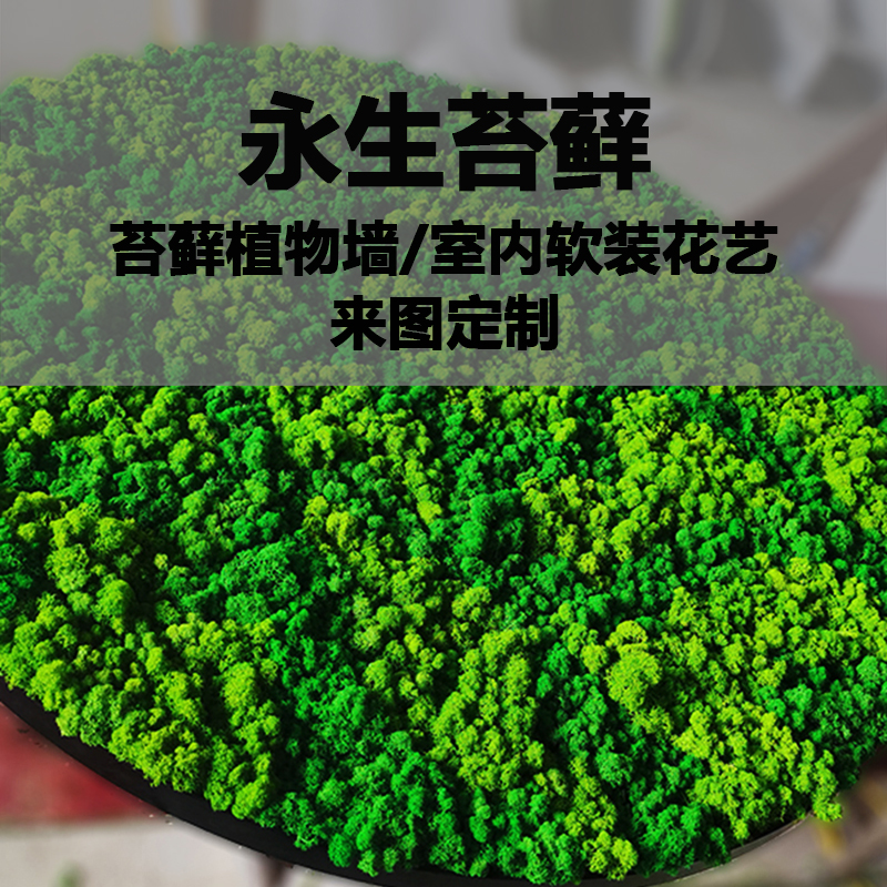 永生苔藓植物墙装饰画苔藓球定制软装图片