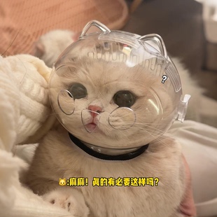 猫咪剪指甲神器！猫咪太空头套防抓咬洗澡打架防舔伊丽莎白圈脖套
