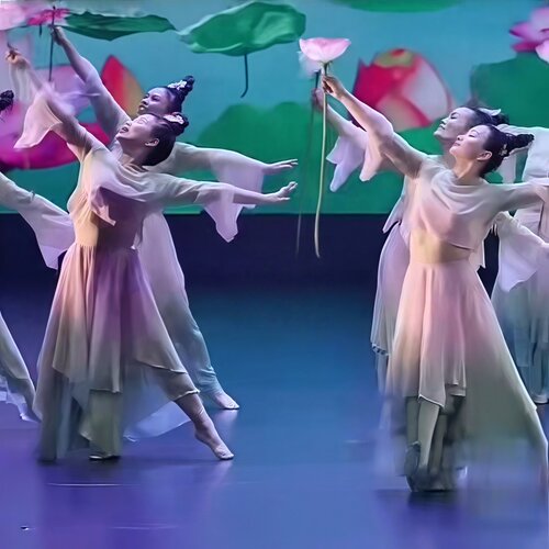 《濯浊婷立》专业定制同款舞蹈服
