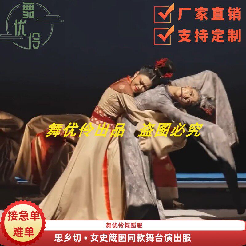 《思乡切  女史箴图》第十四届荷花奖舞蹈服专业定制舞台演出服1
