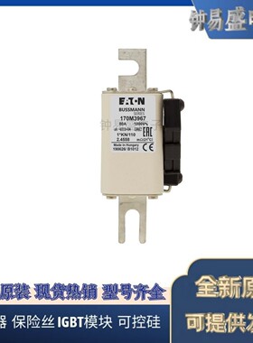 Bussmann熔断器170M3961  170M3965 170M3966 170M3967 170M3968