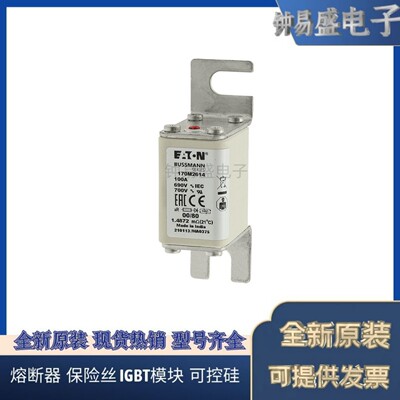 出售Bussmann熔断器170M2611 2612 2613 2614 2615 2616 2617