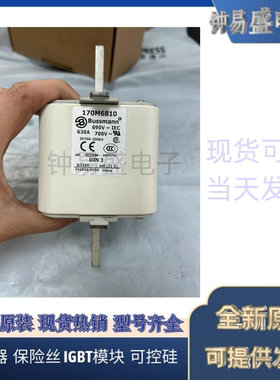 美国伊顿EATON 巴斯曼原装Bussmann熔断器170M6810D 690V 630A