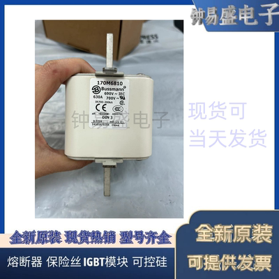 美国伊顿EATON 巴斯曼原装Bussmann熔断器170M6810D 690V 630A
