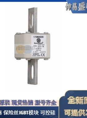 伊顿BUSSMANN巴斯曼原装熔断器170M4609  690V 250A