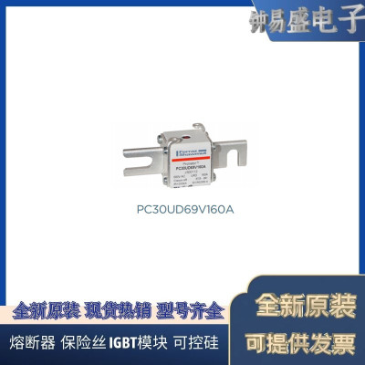 罗兰熔断器PC30UD69V125D1A T300121   PC30UD69V160D1A V300122
