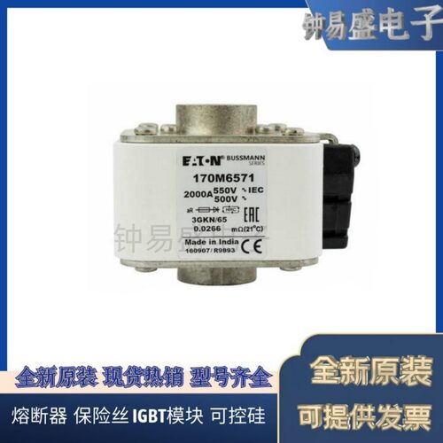美国伊顿EATON Bussmann熔断器170M6570