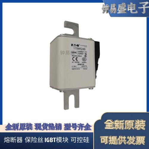 Bussmann熔断器170M5308 170M5309 170M5310 170M5311 170M5312