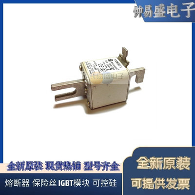 出售伊顿Bussmann熔断器170M3070 170M3071 170M3072 170M3073