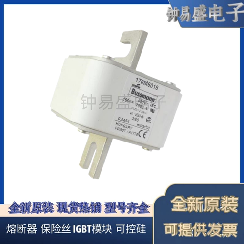 COOPER BUSSMANN熔断器170M6010 690V 630A