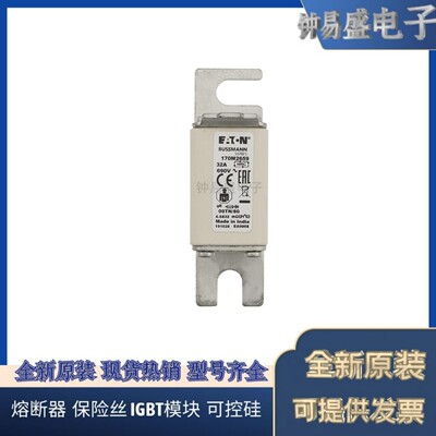美国伊顿EATON Bussmann熔断器170M2659