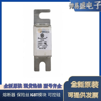 伊顿原装巴斯曼Bussmann熔断器170M4833 170M4834 170M4835