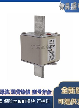美国伊顿EATON Bussmann熔断器170M8554D