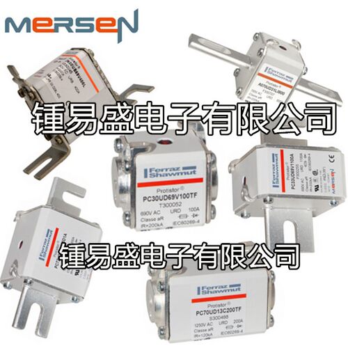 罗兰熔断器D123GB66V800EF   D123GB66V800TF