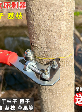 柚子桔子蜜柚环割刀砂糖桔环剥刀苹果柑橘荔枝割皮剥皮工具可调节
