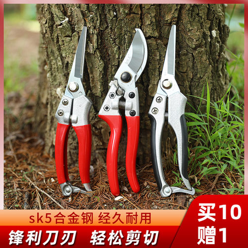 修枝剪整枝剪摘果剪园艺剪刀绿苑