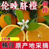 主图