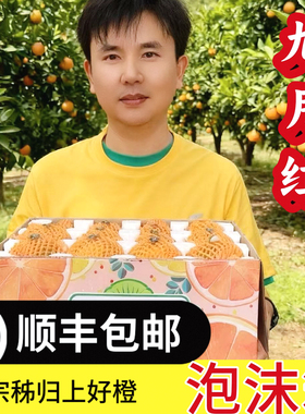 顺丰包邮九月红橙子正宗秭归脐橙子当季新鲜水果整箱甜橙柑橘桔子