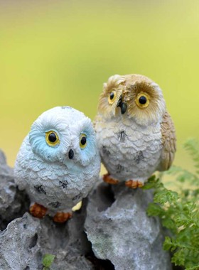 微景观摄影可爱风盆栽配饰小动物